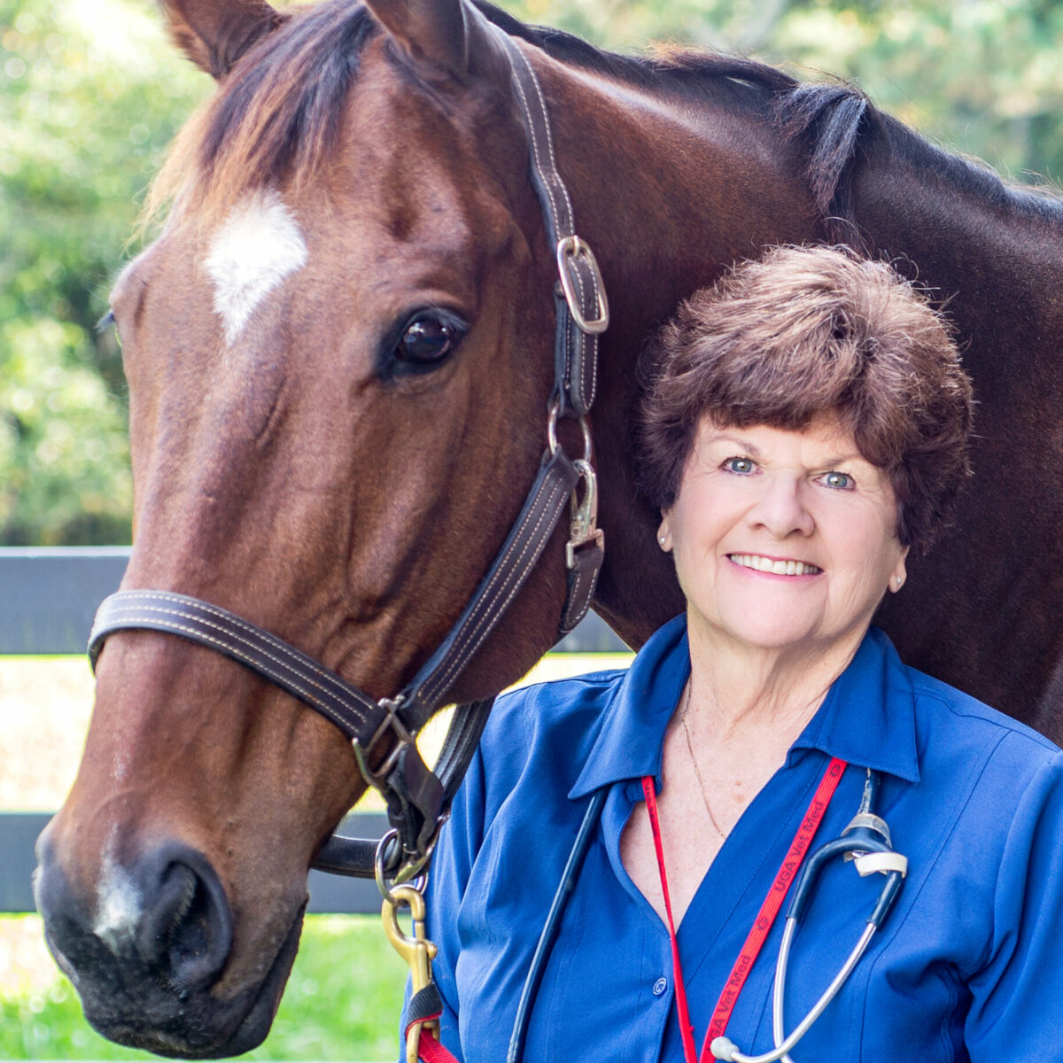 Dr Susan White portrait