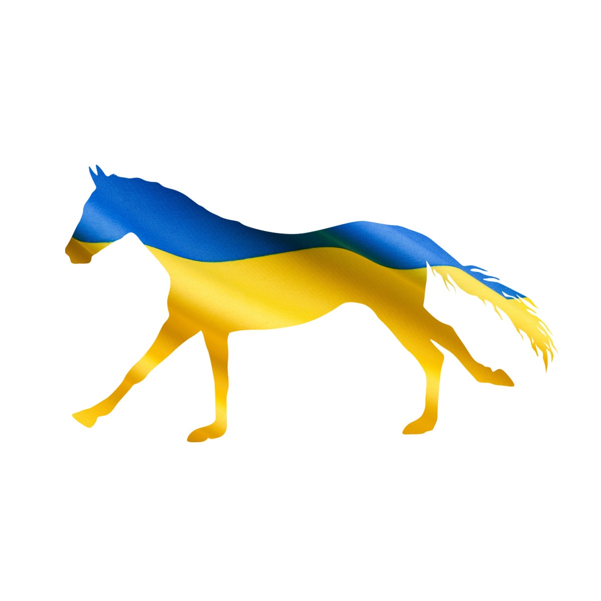 Ukraine horse
