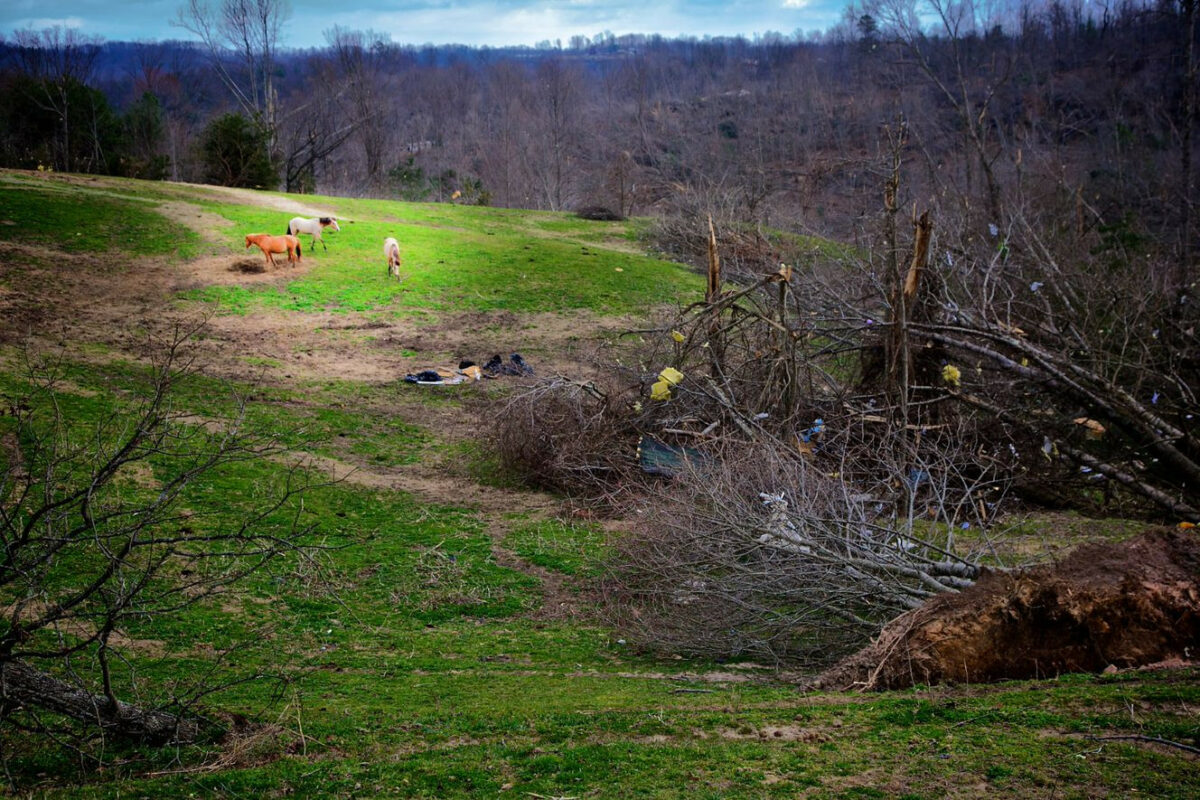 The Foundation for the Horse Helping Horses in Aftermath of Tornadoes in Mississippi, other Southern States