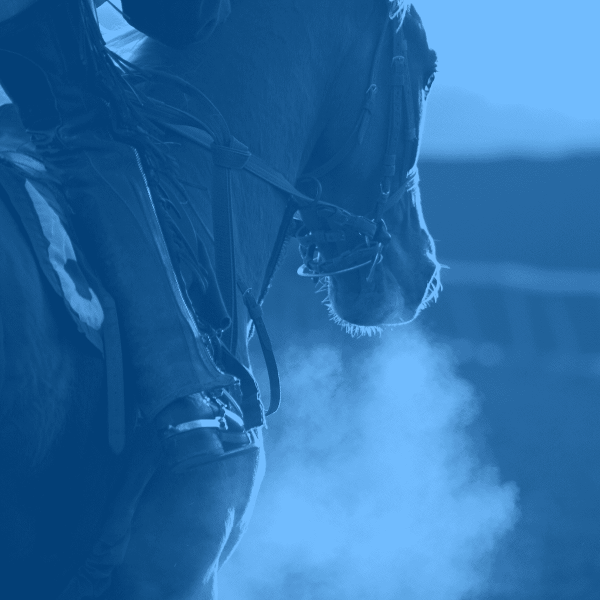 Horse racing image