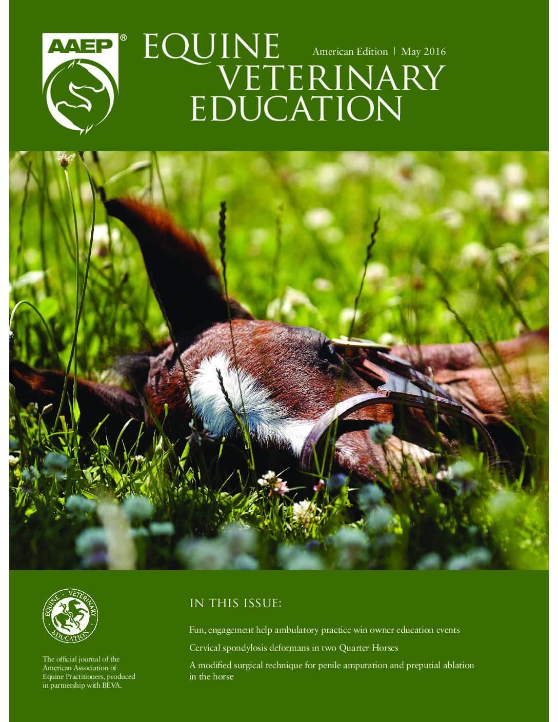 Equine Veterinary Education: May 2016 – AAEP