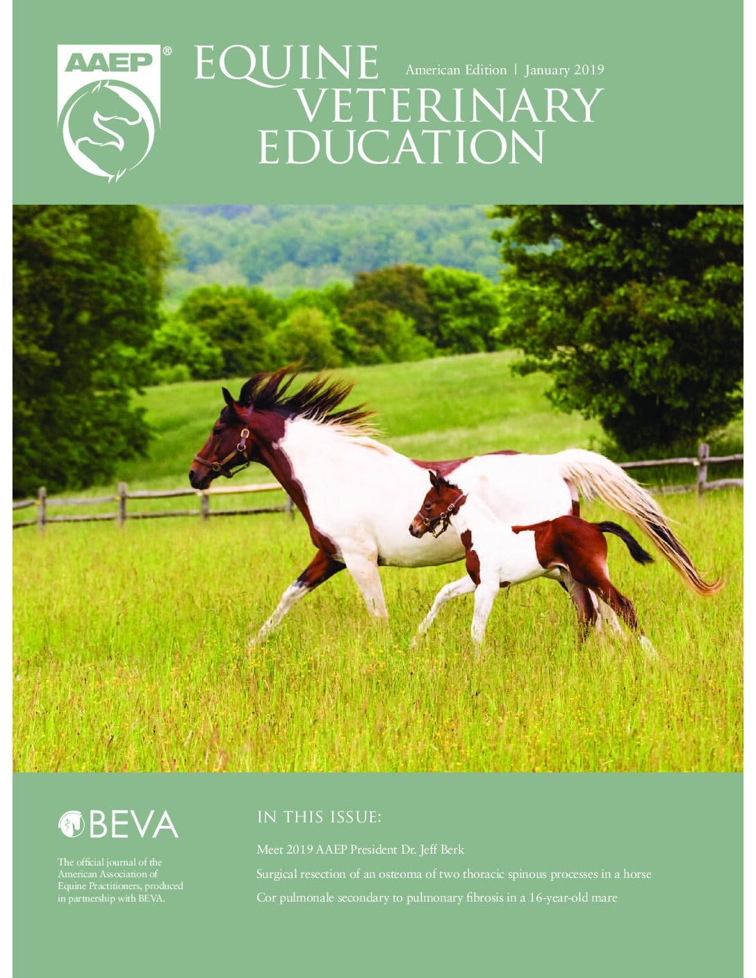 Equine Veterinary Education: January 2019 – AAEP