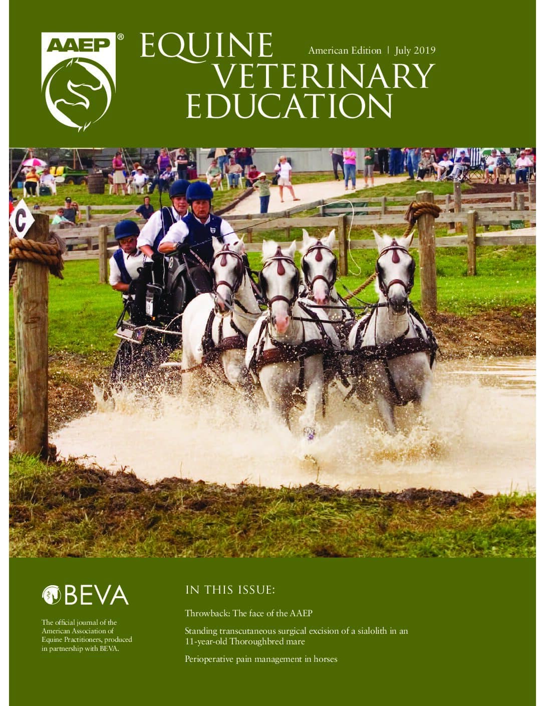 Equine Veterinary Education: July 2019 – AAEP