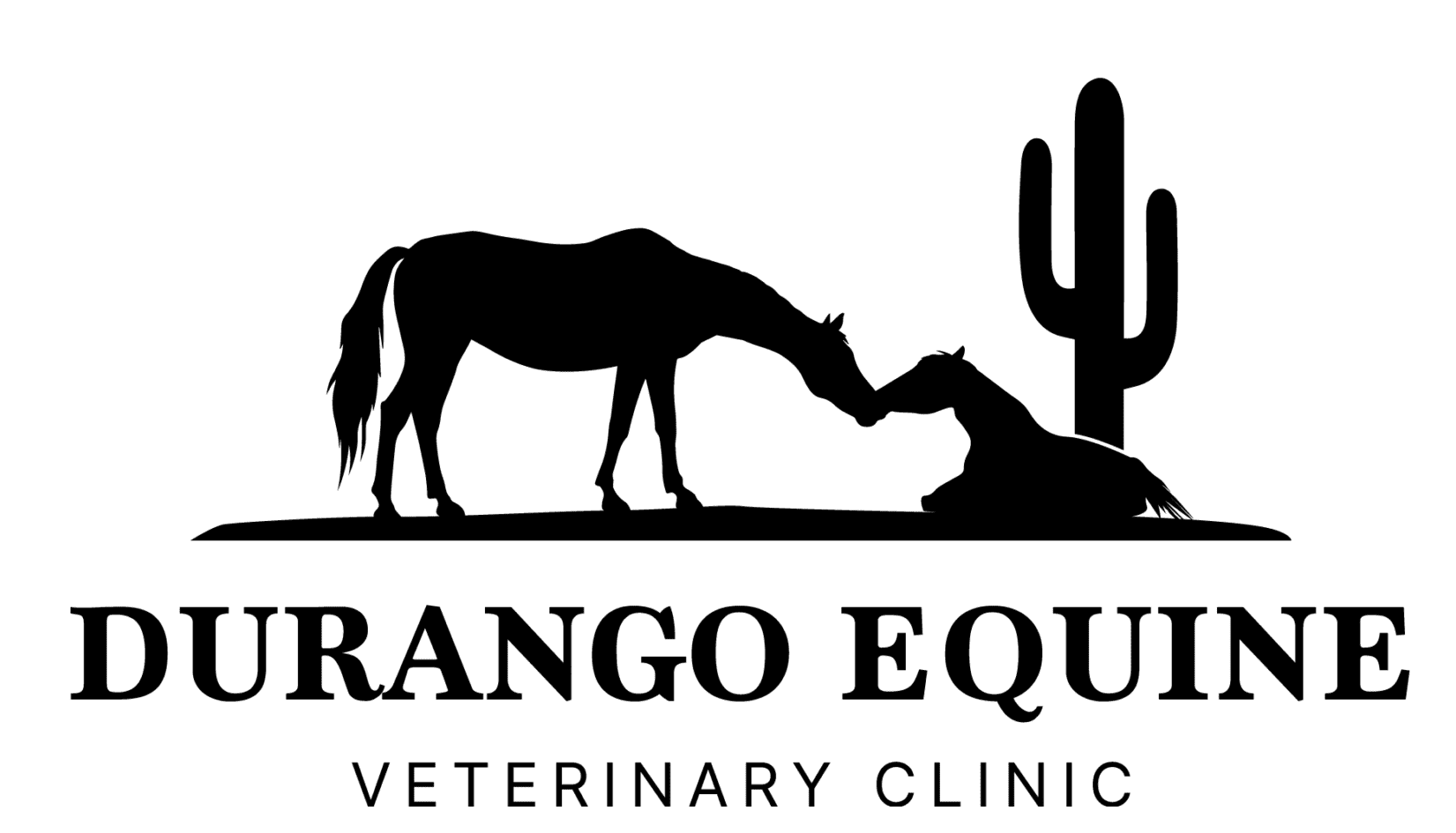 cropped-cropped-durango-logo-straight-1-1536x838-1