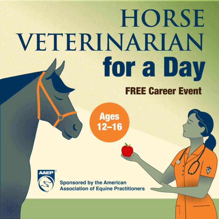 69th AAEP Annual Convention AAEP