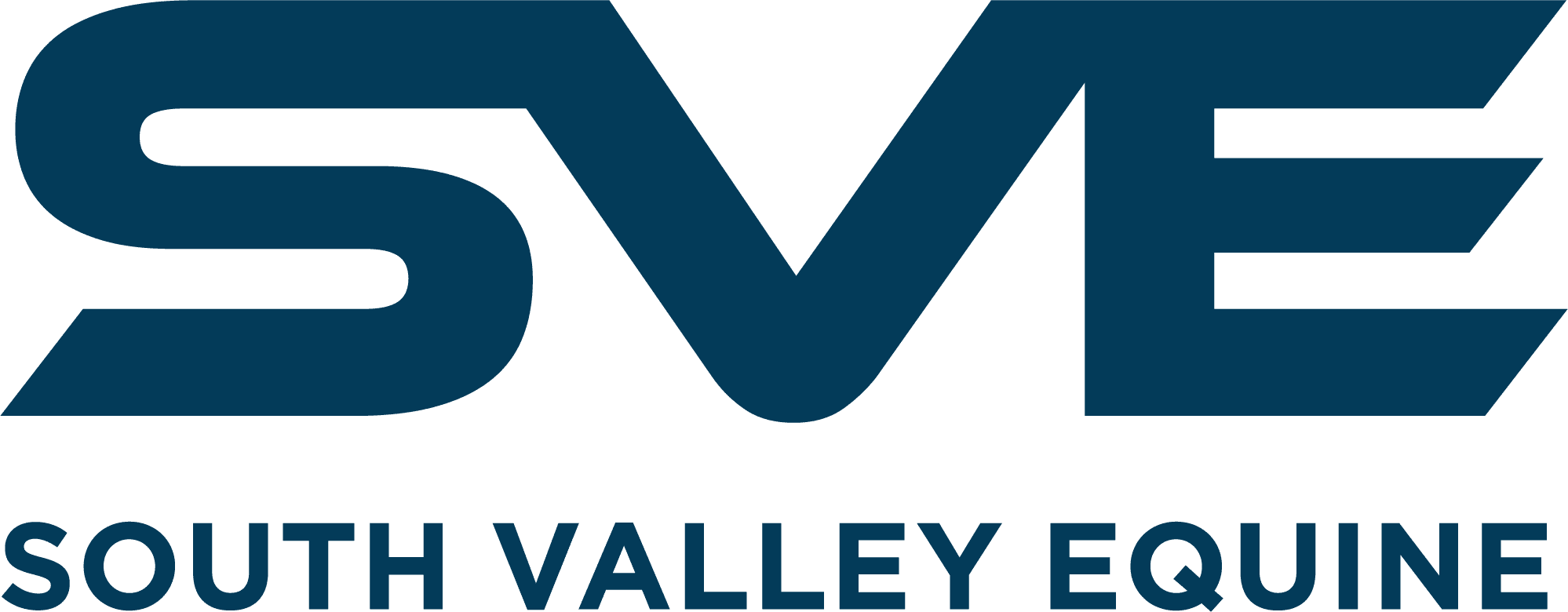SVE-Logo-Blue-High-Res
