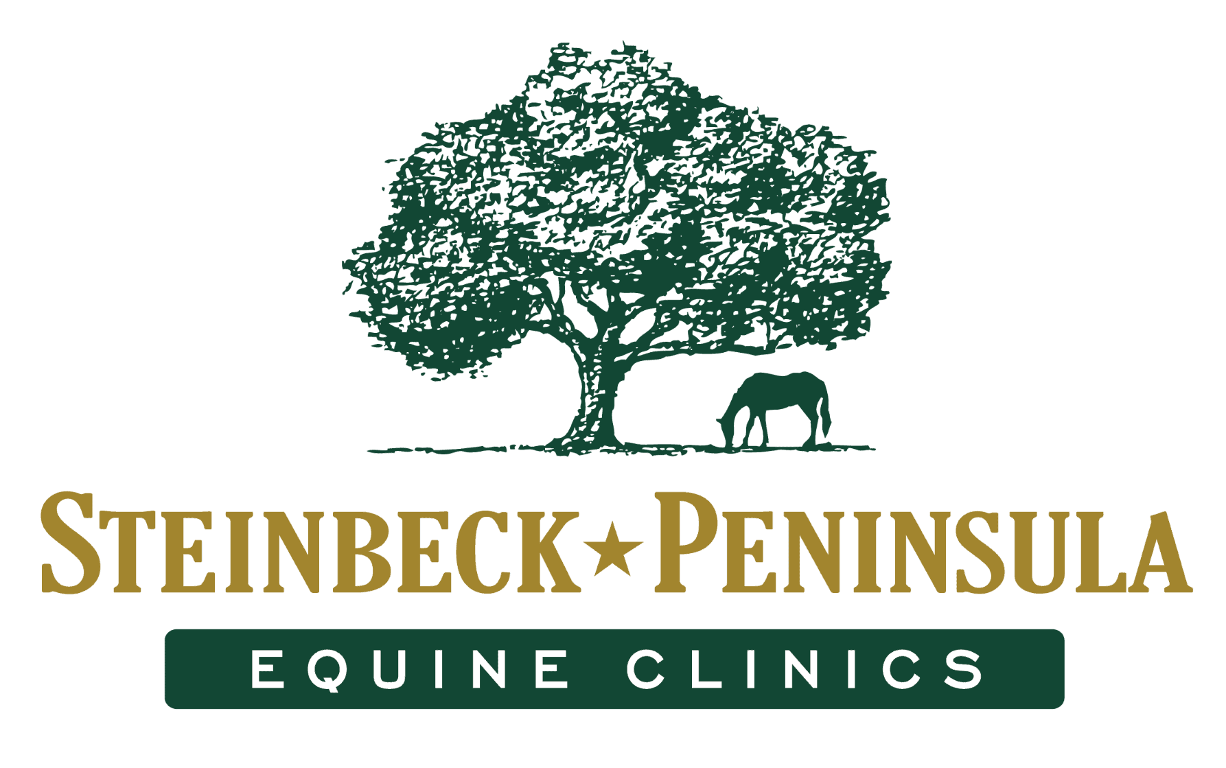 SPEC-Star-PenEq-Logo-Stack_Color-Big