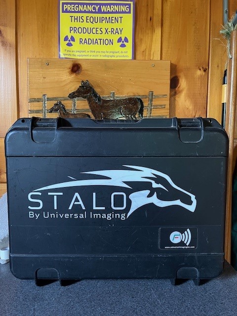 stalo-1