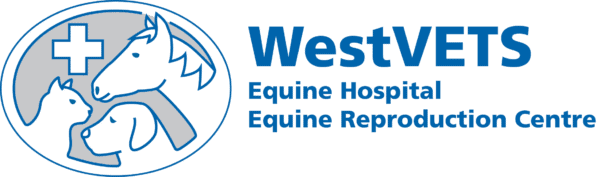 Equine-Logo