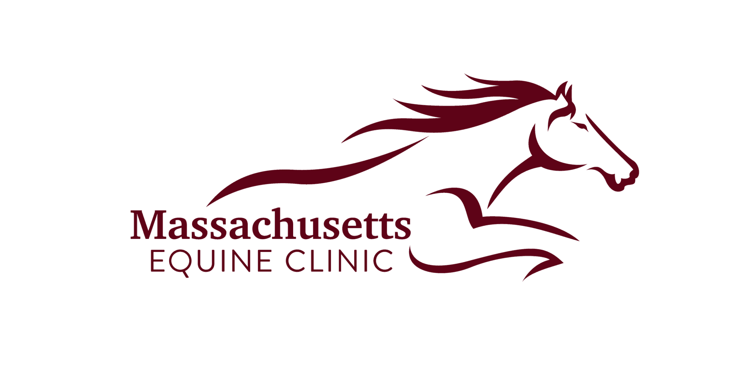 Mass-Equine-Final-Logo-01