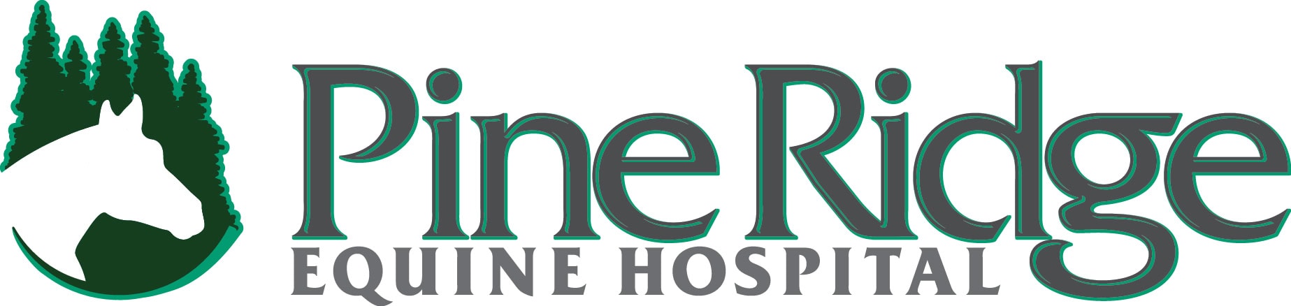 PineRidgeEHColorLogo