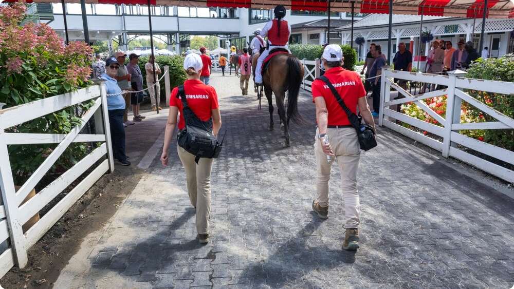 Two veterinarians walking towards a horse and rider in a field.