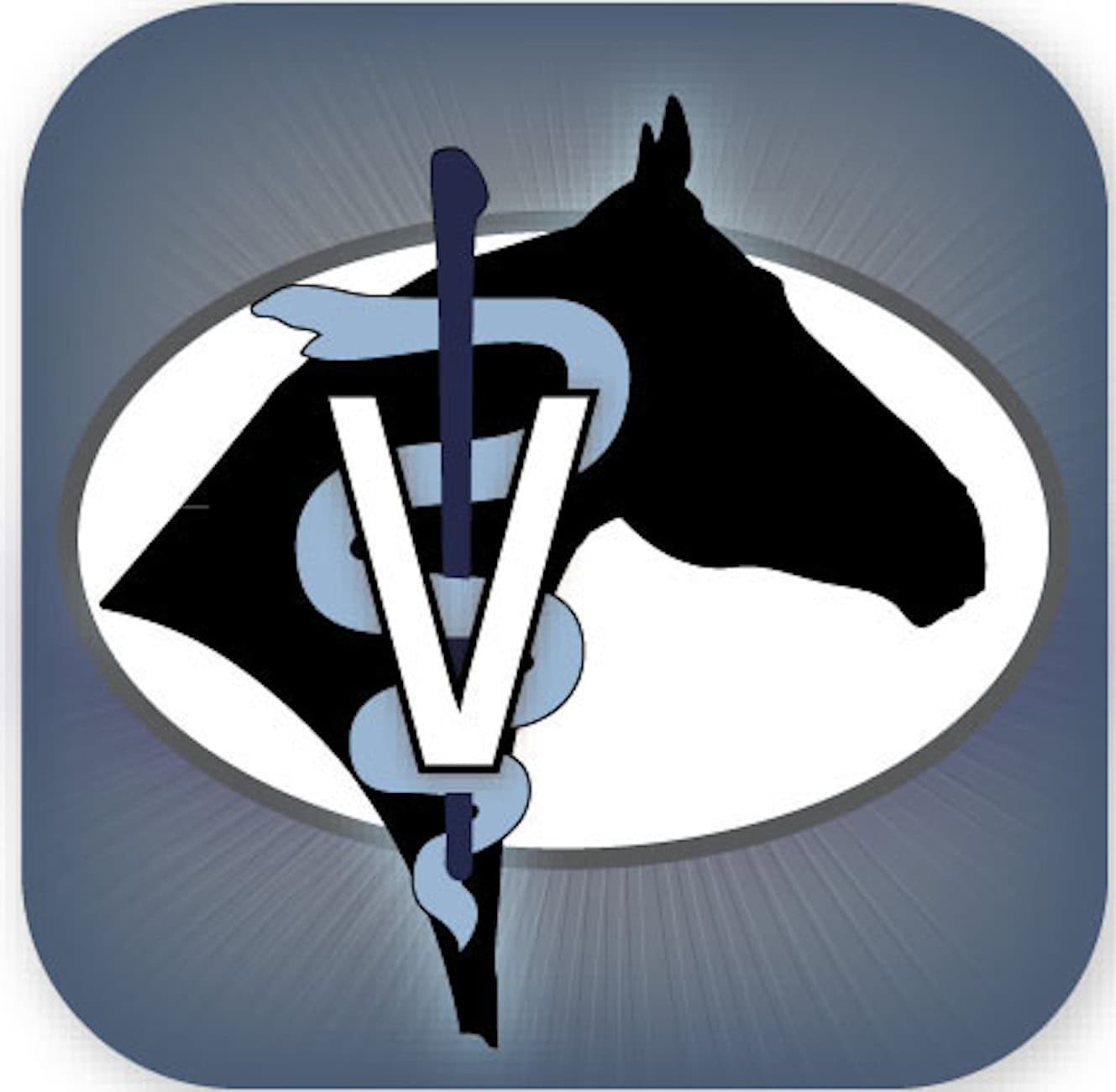 Equine Internship