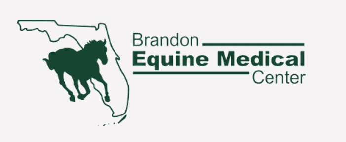 Intern Veterinarian