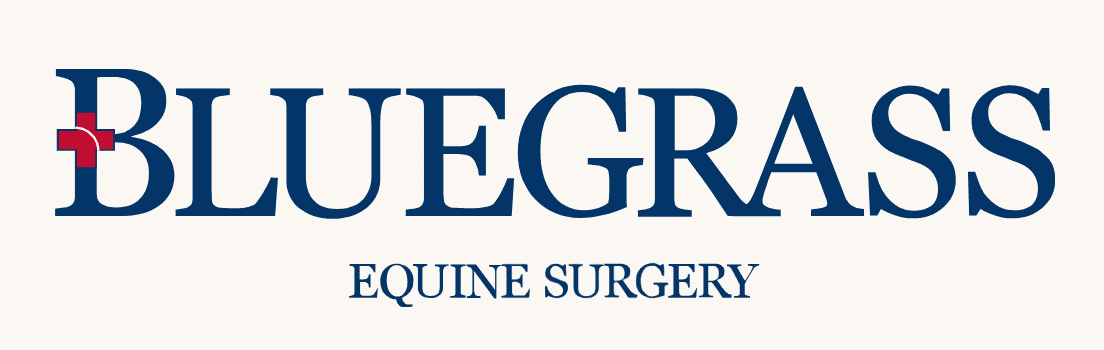 Equine Surgical Intern
