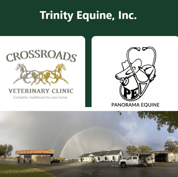 Rotating Equine Internship